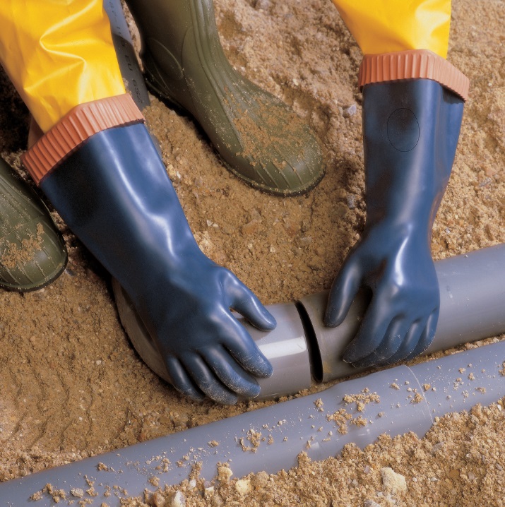 Alto298vAlpuclEMcmpB