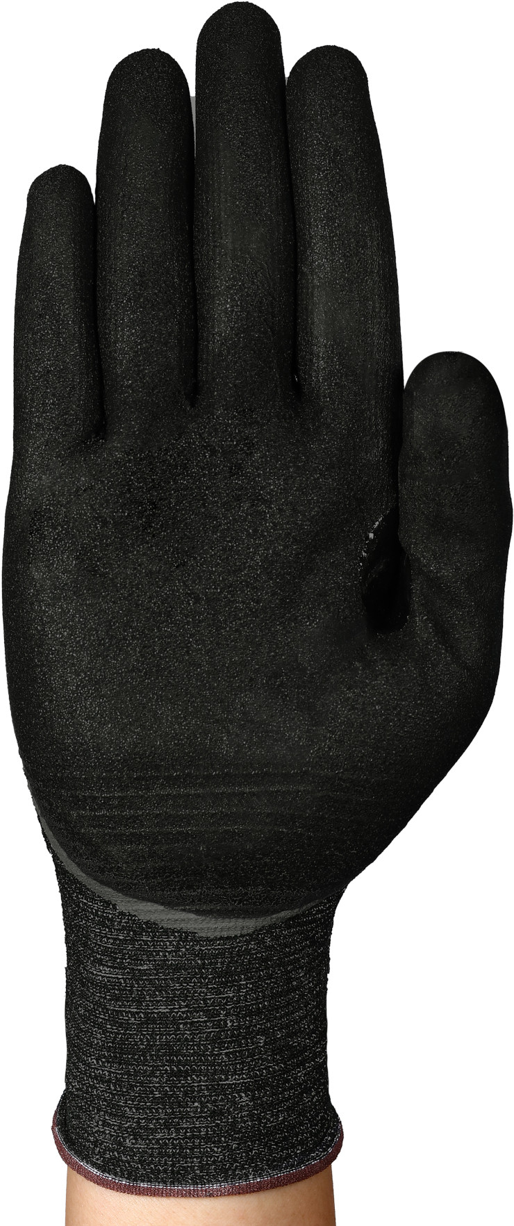 INGL8649-HyFlex-11-937-EMEA_NA-Back