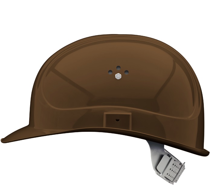 inap-master-4braun-5