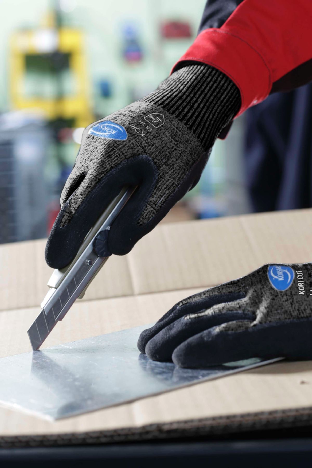 100_38425XcLR3EqkkWyVT