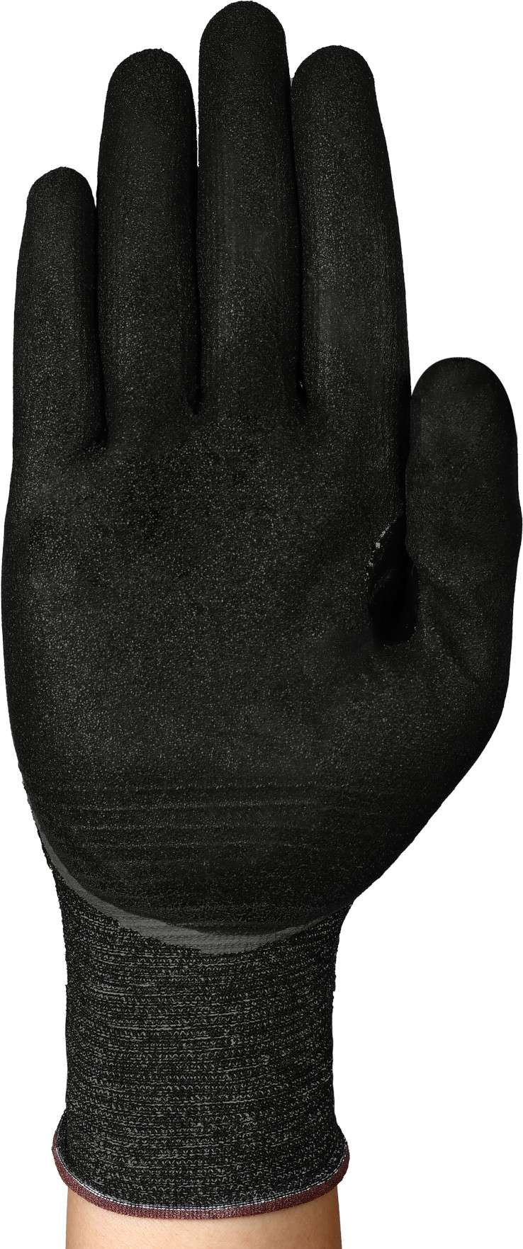 INGL8649-HyFlex-11-939-EMEA_NA-Back