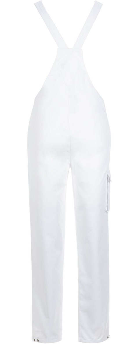 Food_5341_360_hinten